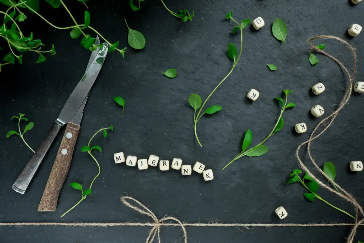 Majeranek w strogonowie: Tak czy nie? Poznaj prawdę i sekrety