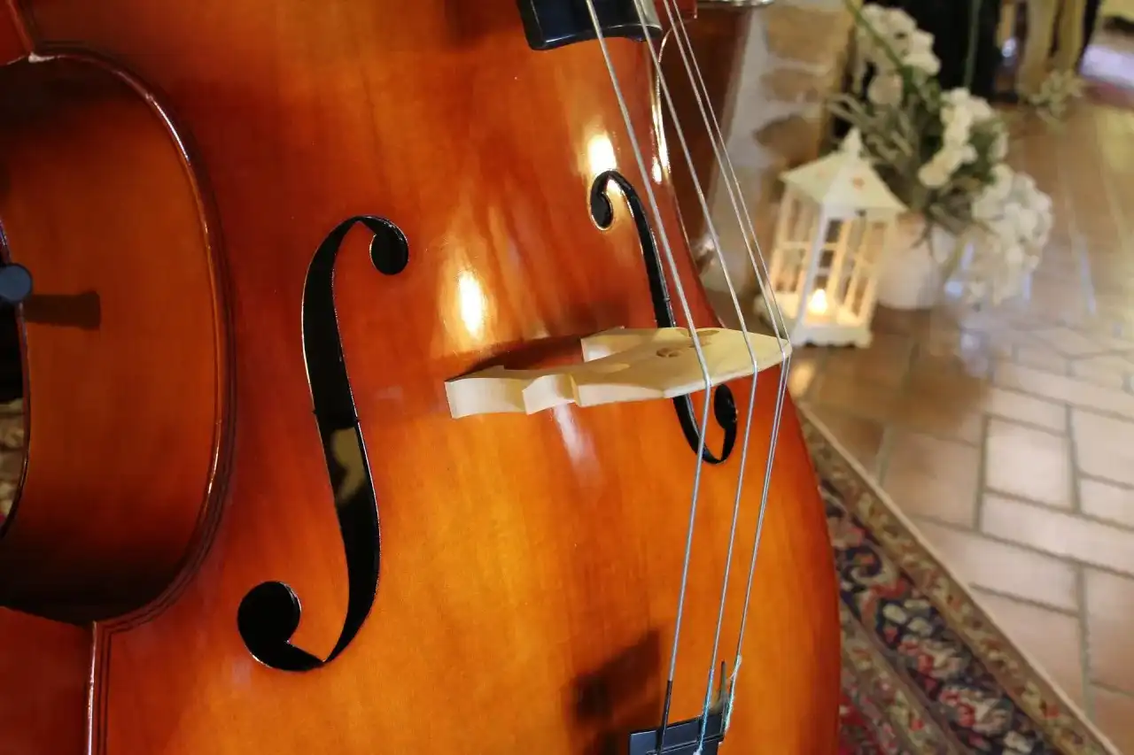 Jak wygląda kontrabas? Poznaj jego budowę i rozmiar