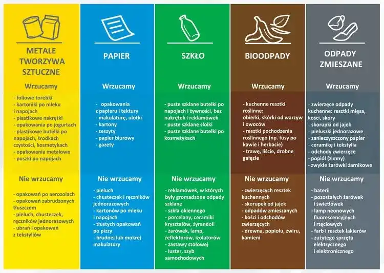 Gdzie wyrzucić tubkę po paście? Żółty czy czarny kosz? Ekspert radzi