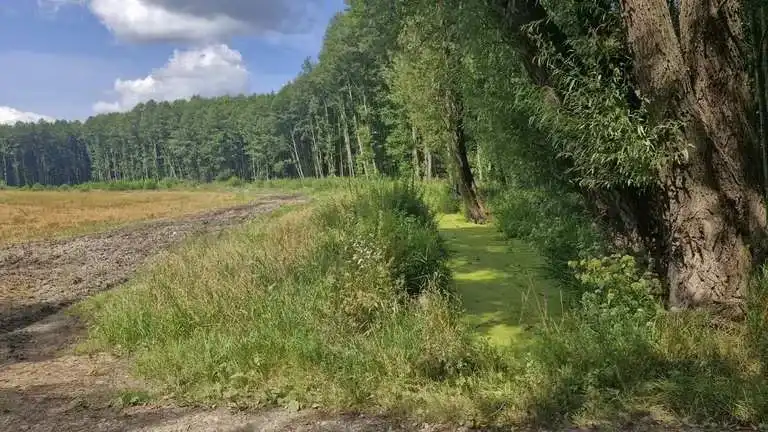 Najlepsze trasy rowerowe w Iławie: odkryj piękno regionu bez trwogi