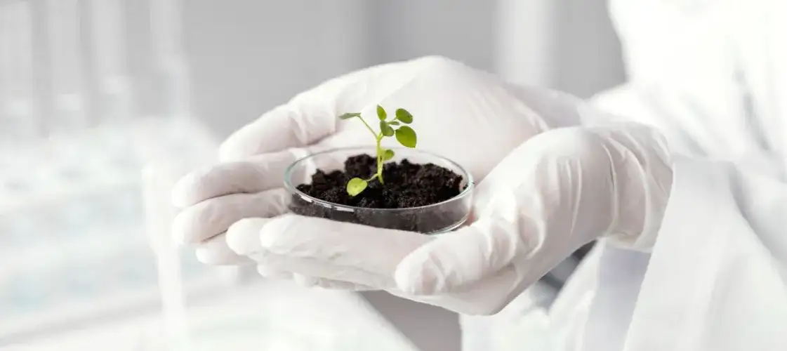 Jakie studia po biologii? Odkryj najlepsze kierunki i możliwości kariery