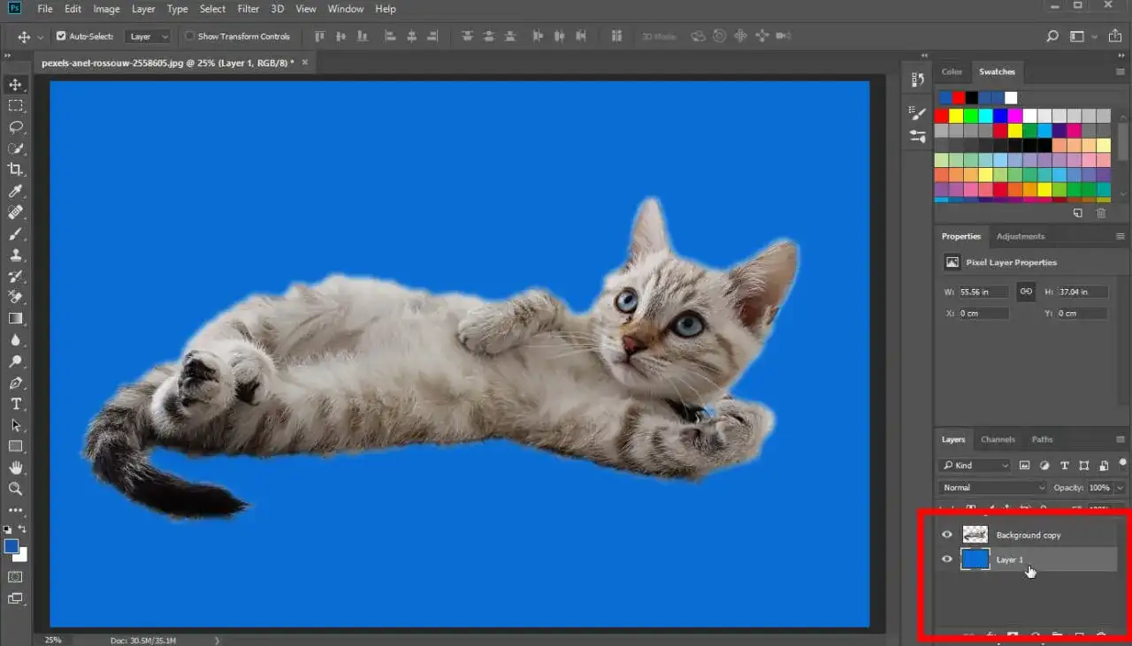 Jak zmienić kolor tła w Photoshopie - proste metody krok po kroku