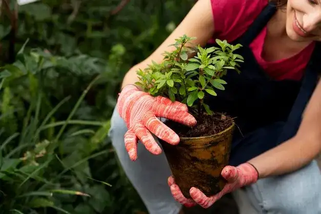 Domowe nawozy do kwiatów - naturalne sposoby na bujny ogród