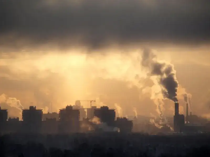 Skąd się bierze smog w Warszawie i jak wpływa na nasze zdrowie?