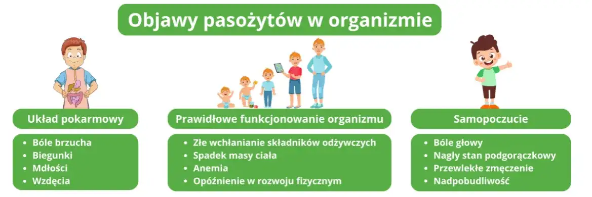 Pasożyty u dzieci: Kluczowe objawy i co robić dalej?