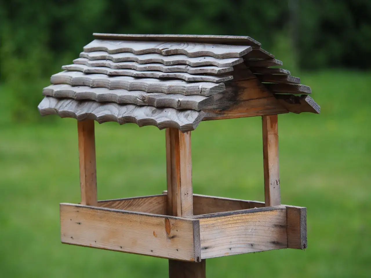Drewniany karmnik dla ptaków diy, z dachem pokrytym łupkiem, gotowy na zimowych gości.