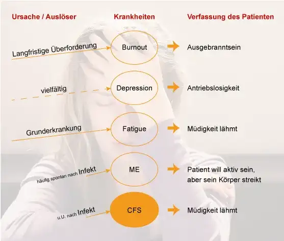 Fatigue Symptome: Erkennen Sie die versteckten Anzeichen der Erschöpfung