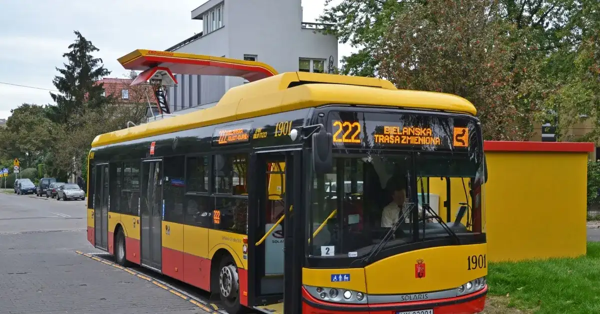 Ile osób zmieści bus/autobus? Limity, kat. B/D i polskie przepisy