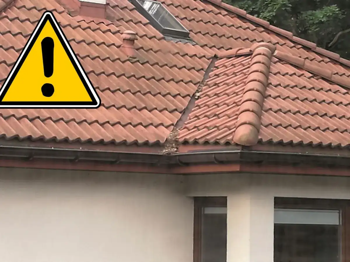 Uwaga na dach! Zatkany rynna i brak rury spustowej to problem. Potrzebny montaż rury spustowej.