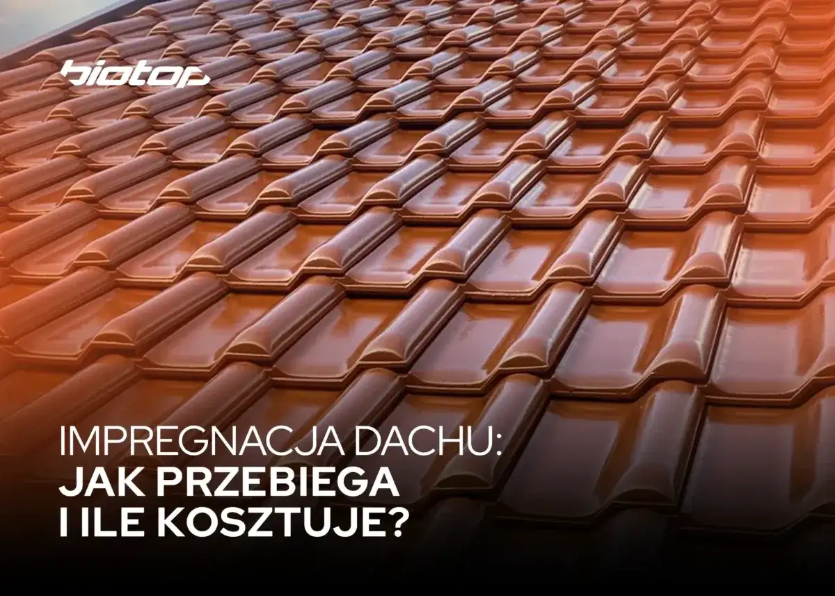 Dachy odporne na afrykańskie warunki: technologie impregnacji prosto z Johannesburga