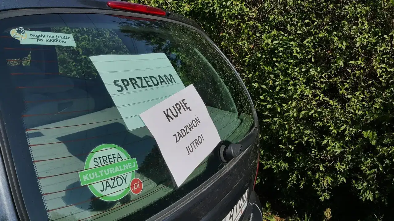 Tylna szyba samochodu z naklejkami "SPRZEDAM", "KUPIĘ ZADZWOŃ JUTRO!" i "STREFA KULTURALNEJ JAZDY".
