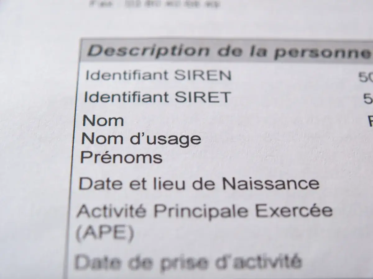 Extrait d'un document officiel listant les informations d'identification d'une personne, y compris l'identifiant SIRET, essentiel pour obtenir un numéro de SIRET gratuit.