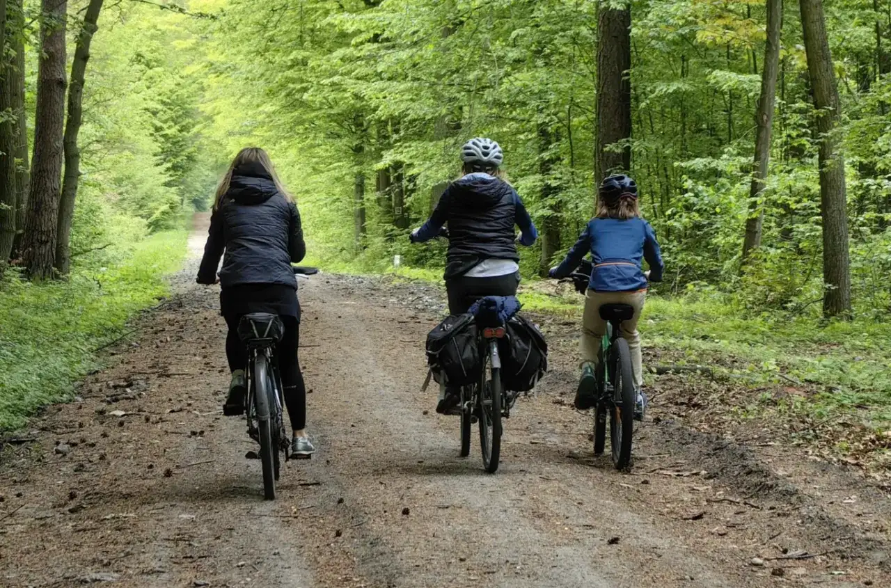 Trzy osoby jadą rowerami po leśnej ścieżce. Mimo pięknej pogody, widać znak zakaz jazdy rowerem.