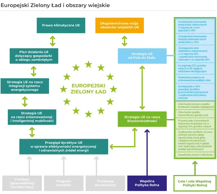 Kto zatwierdził zielony ład? Kluczowe decyzje i kontrowersje w UE