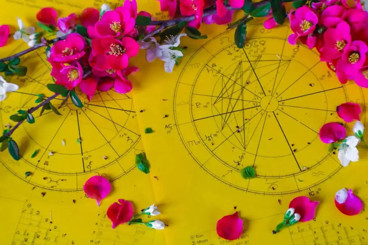 Kwiaty wiśni i płatki zdobią żółte wykresy astrologiczne, sugerując horoskop tygodniowy dla Byka.