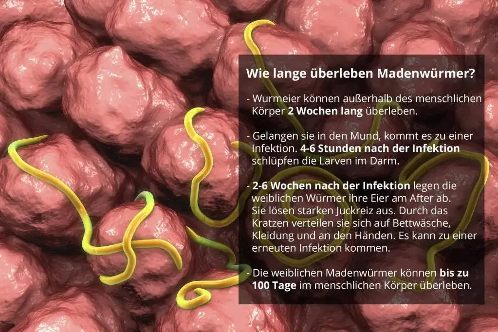 Madenwürmer Symptome: So erkennen Sie die Anzeichen rechtzeitig