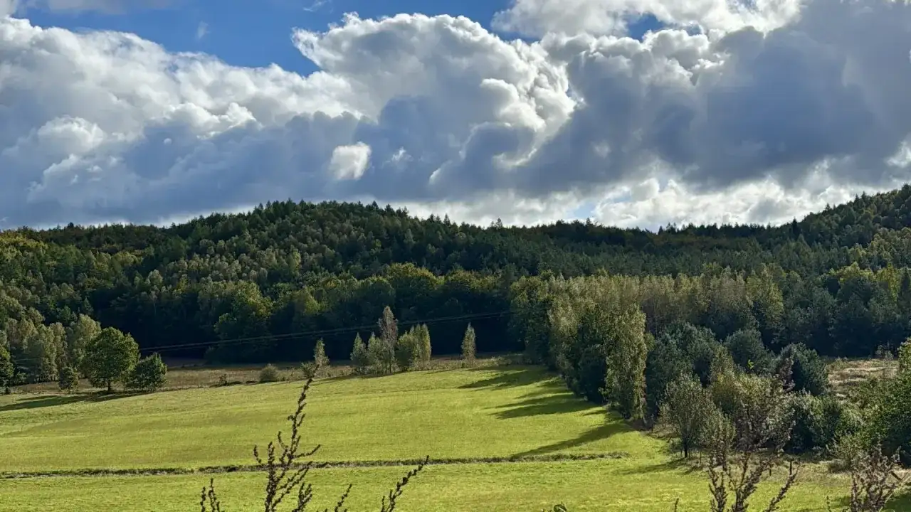 Zielone pola i lasy na Kaszubach, idealne miejsce, gdzie na spacer wybrać się można w słoneczny dzień.