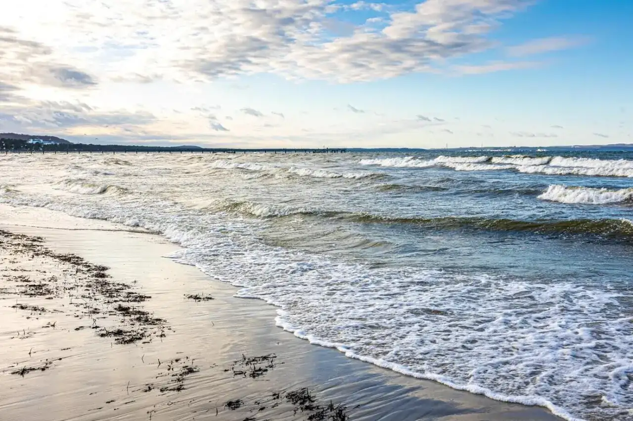 Plaża z falami i wodorostami na piasku. W oddali widać molo i linię brzegową. Idealny widok, kiedy zaczyna się sezon nad morzem.