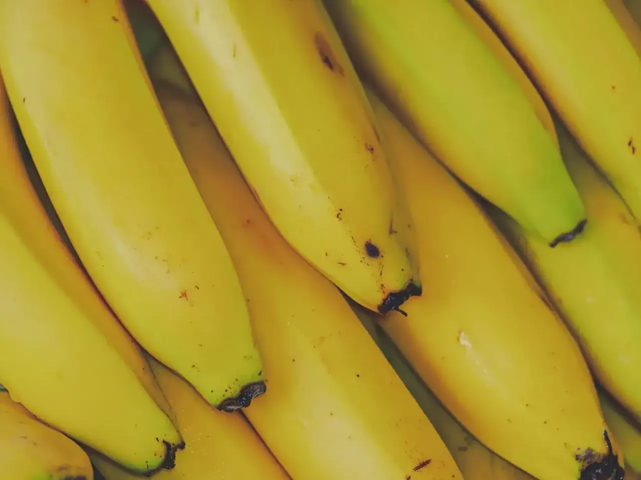 Kupka żółtych bananów. Zastanawiasz się, czy koty mogą jeść banany? Te owoce są bogate w potas i witaminy.
