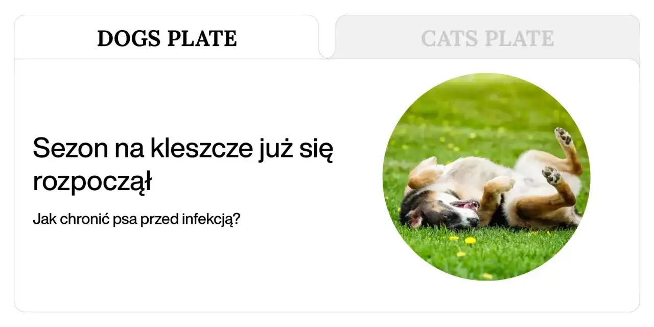 Szczeniak przewraca się na zielonej trawie.