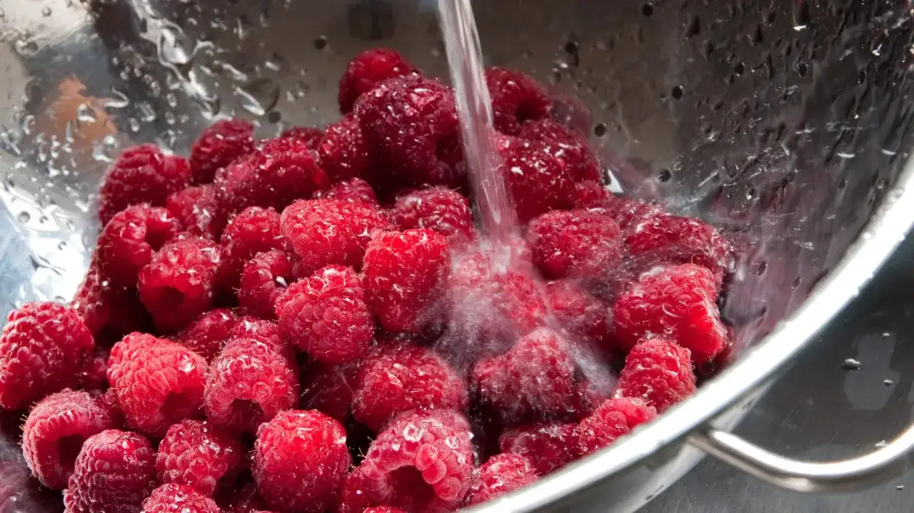 Frische Himbeeren werden in einem Sieb unter fließendem Wasser gewaschen, um sie für die Lagerung vorzubereiten und **frisch zu halten**.