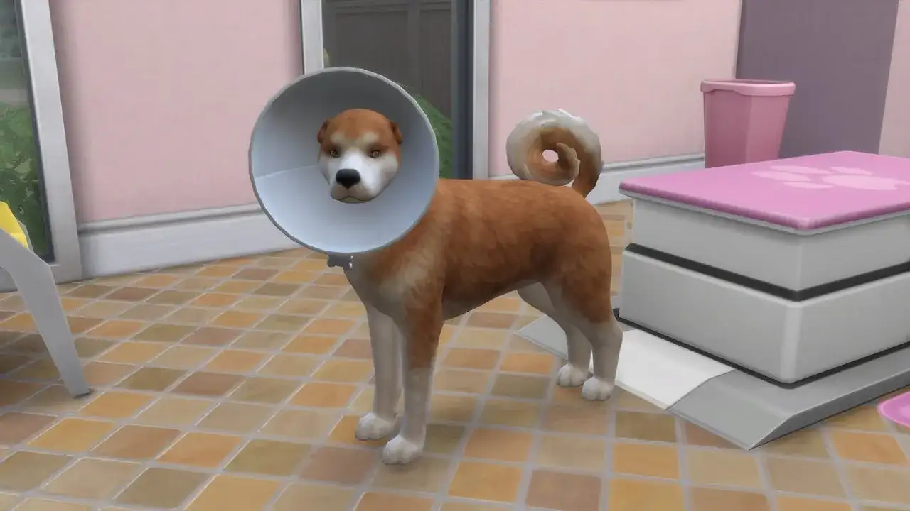 Odbierz za darmo dodatek The Sims 4 ze zwierzętami domowymi