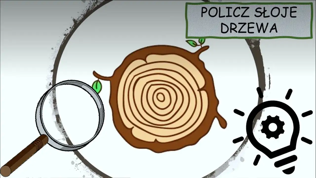 Skąd się bierze papier? Fascynujący film edukacyjny dla dzieci
