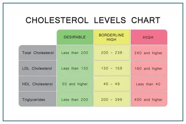 Cholesterol 240 czy to dużo? Dowiedz się, co musisz wiedzieć!