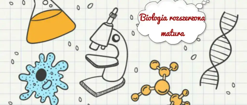 Czy rozszerzona biologia jest trudna? Sprawdź, jak sobie z nią poradzić na maturze