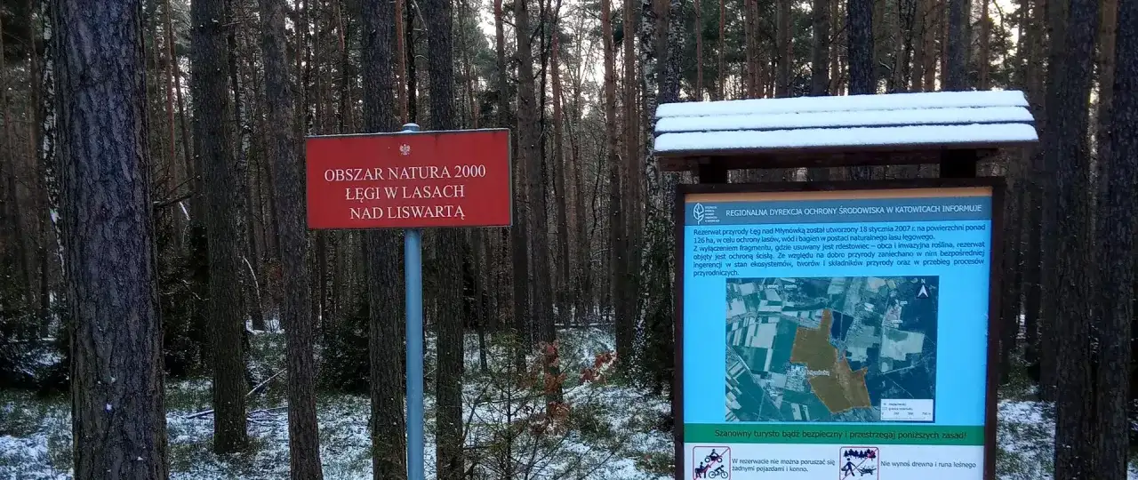 Wiele rezerwatów przyrody otrzymuje symboliczne nazwy – poznaj ich historie