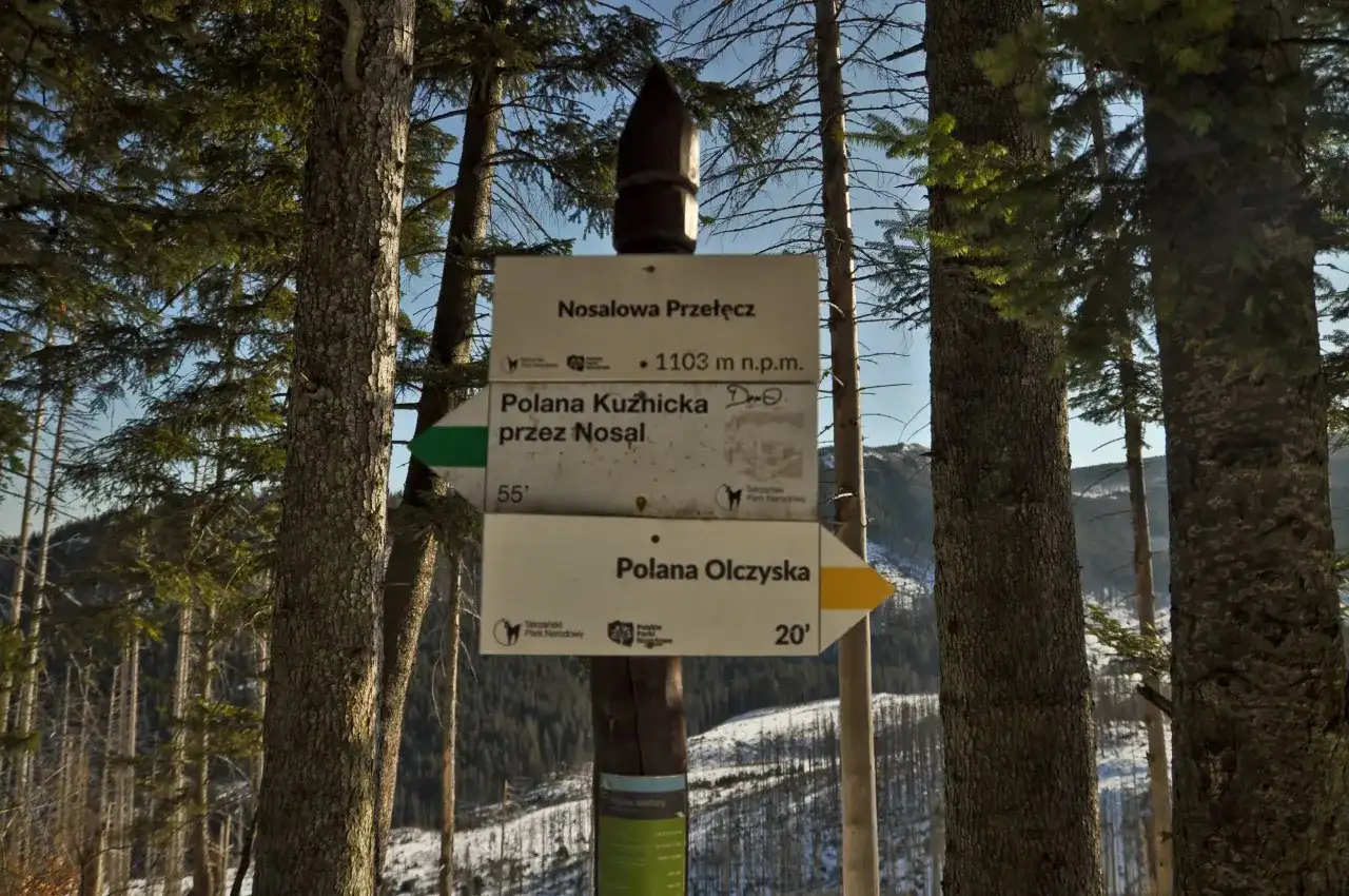 Rozdroże na Nosalowej Przełęczy (1103 m n.p.m.). Szlak na Nosal prowadzi przez Polanę Kuźnicką (55 min) lub Polanę Olczyską (20 min).