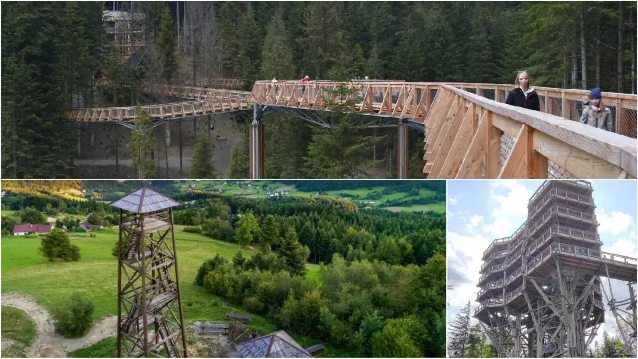 Drewniane wieże widokowe Małopolska w otoczeniu lasów i malowniczych krajobrazów. Spacer po koronach drzew i podziwianie panoramy.
