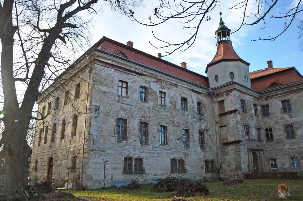 Zamek w Domanicach, zniszczony, z wieżą i czerwonym dachem, stoi na tle błękitnego nieba.