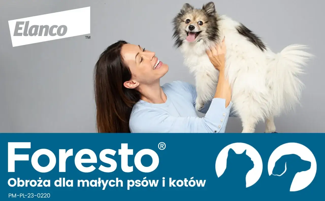 Jak założyć psu obrożę przeciwpchelną i uniknąć błędów w aplikacji