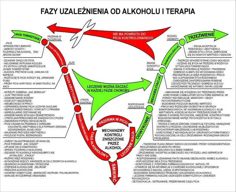Jak przestać pić piwo i odzyskać zdrowie oraz radość życia