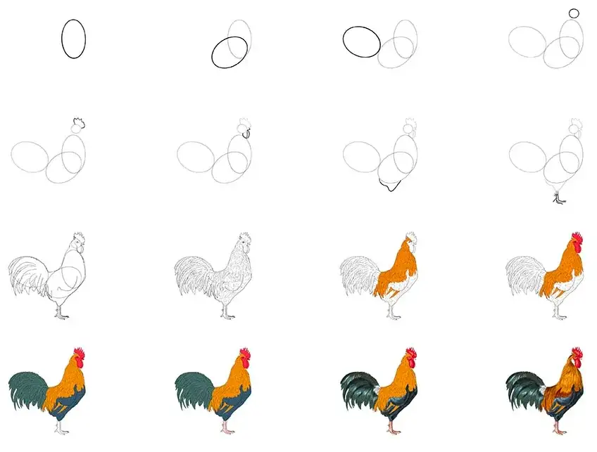 Huhn zeichnen lernen: Einfache Schritt-für-Schritt-Anleitung