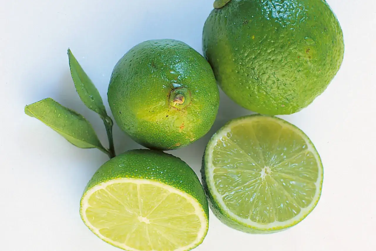 Frische Limetten, eine halbiert, bereit zum Einfrieren für Cocktails oder zum Kochen.
