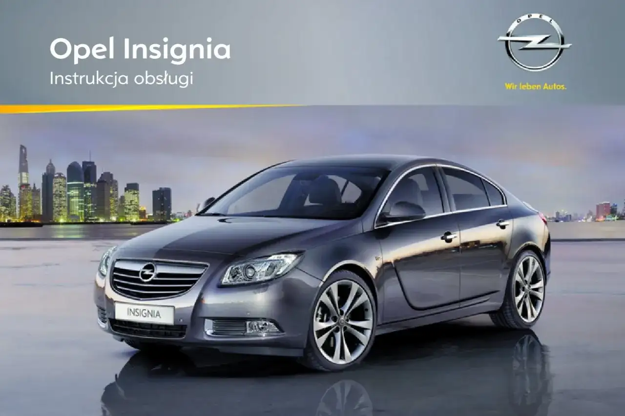 Szary Opel Insignia na tle miasta nocą.