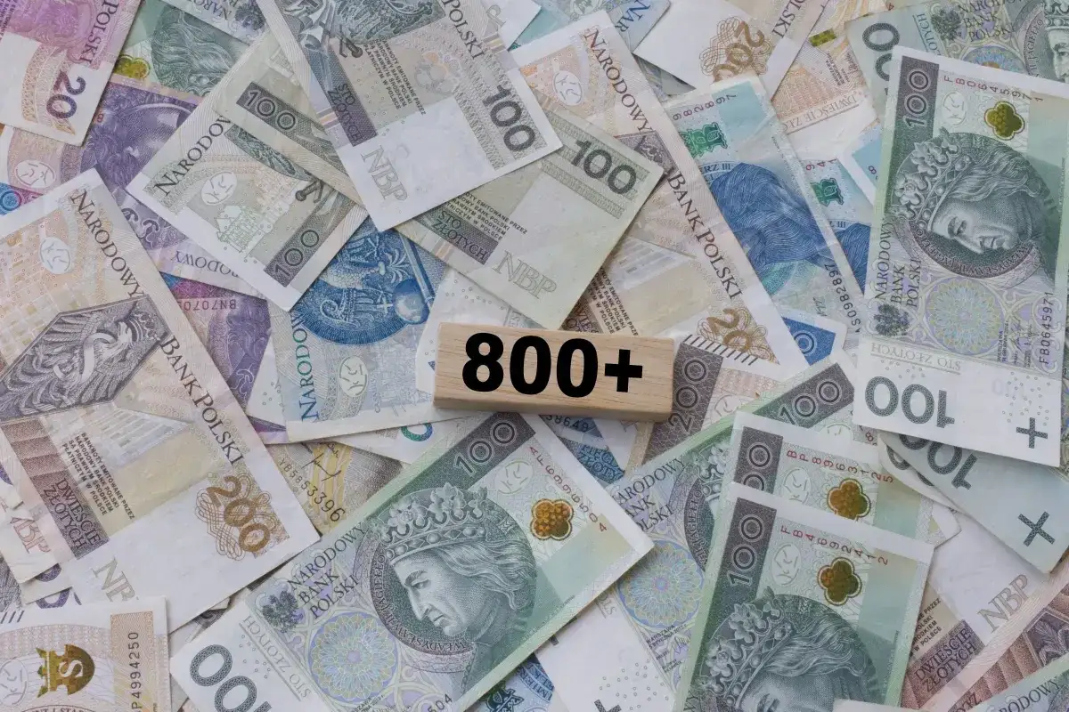 Pieniądze w polskich złotówkach, z drewnianym klockiem z napisem "800+". Kiedy złożyć wniosek o 800 plus?