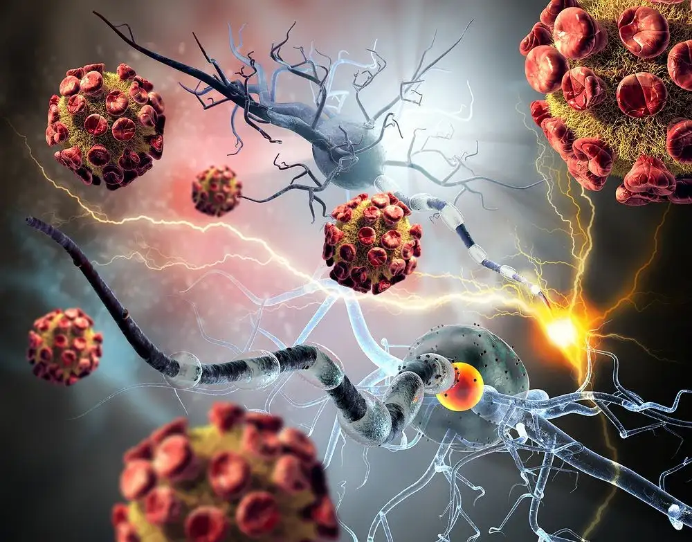 Choroby autoimmunologiczne - jakie badania krwi wykonać?