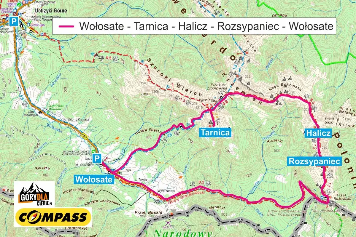 Szlak na Tarnicę: Ile km i czasu? Poradnik od eksperta Bieszczad