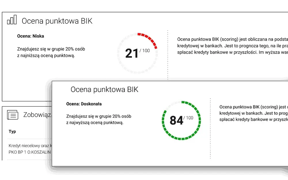 Jak czytać Raport BIK? Przewodnik eksperta do Twoich finansów