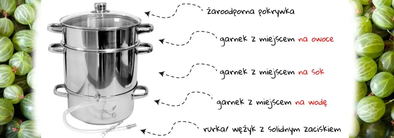 Jak zrobić sok z aroni w sokowniku - proste kroki do smaku zdrowia