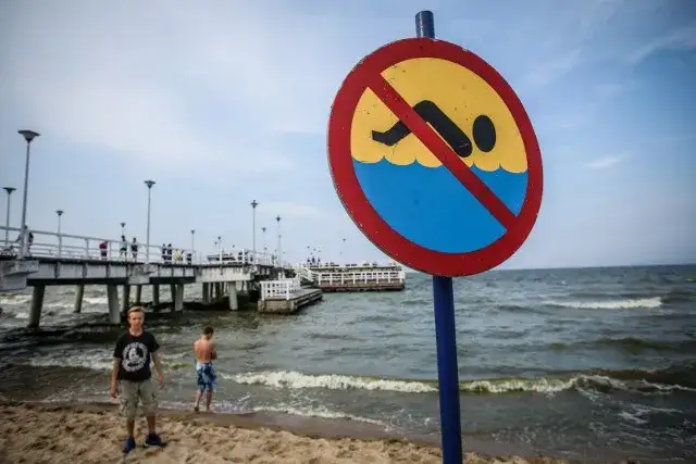 Czy można się kąpać w Bałtyku? Uważaj na niebezpieczne sinice