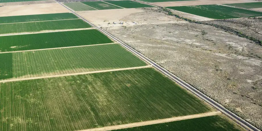 Działki rolne i budowlane: Co warto wiedzieć przed zakupem?