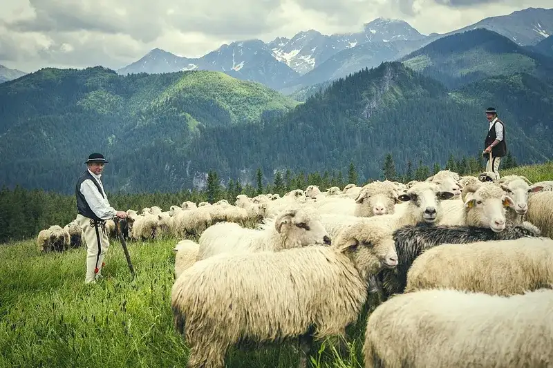 Bacówka 2 Zakopane: Odkryj górski azyl tradycji i smaku