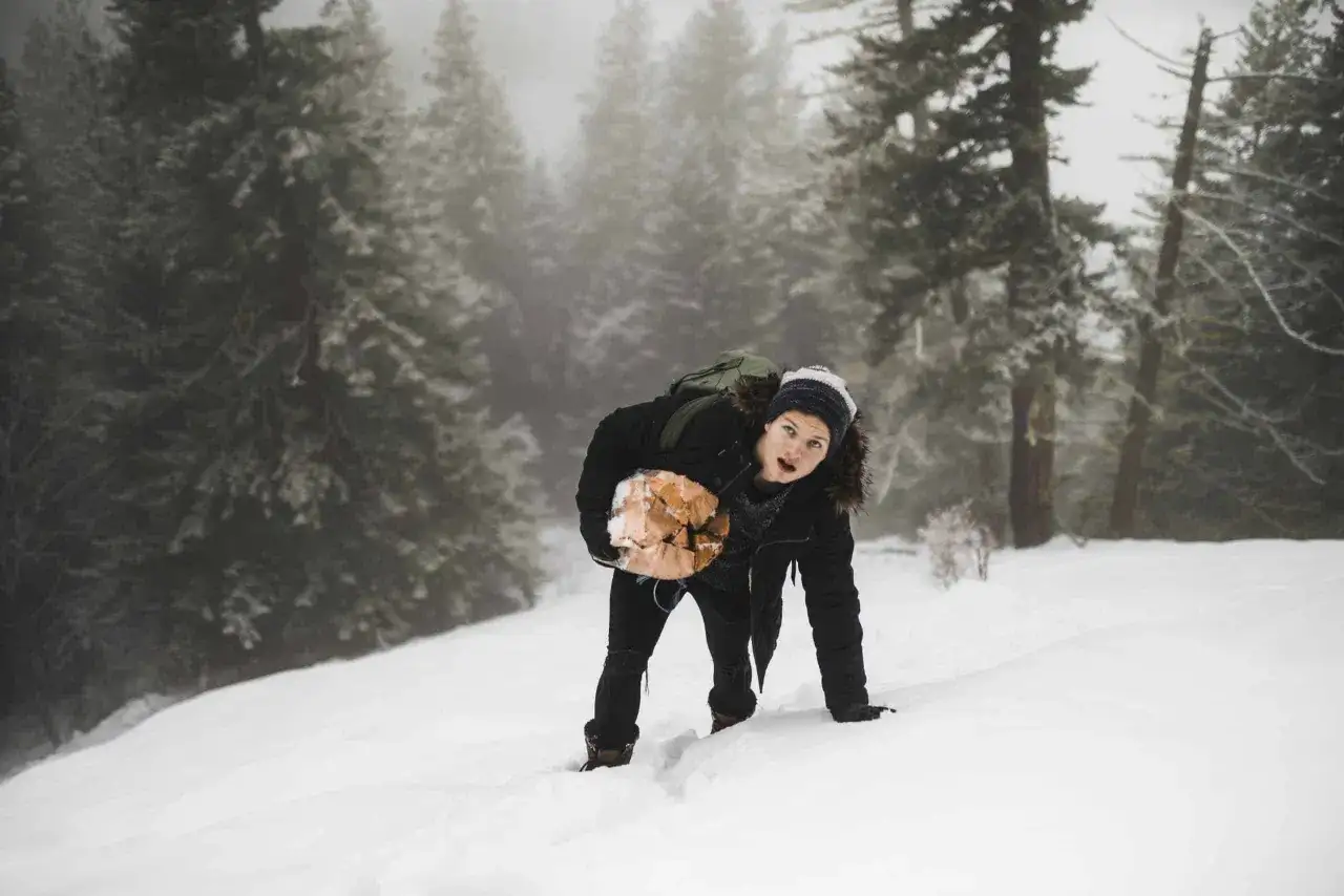 Zimowy las: Jak przetrwać mróz i panikę? Poradnik survivalowy