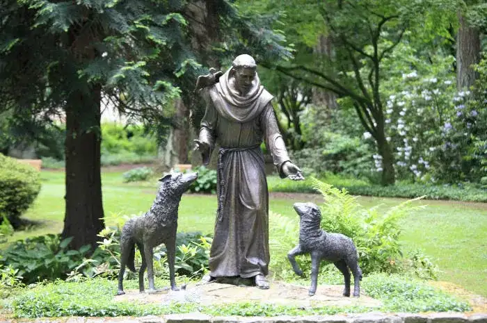 Dlaczego święty Franciszek został patronem ekologów - poznaj prawdziwą historię