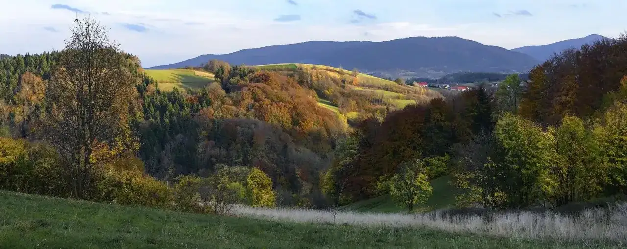 Rezerwat przyrody Madohora: unikalne atrakcje i zagrożenia ochrony