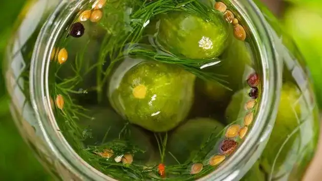 Ogórki kiszone: probiotyczna bomba dla jelit i odporności